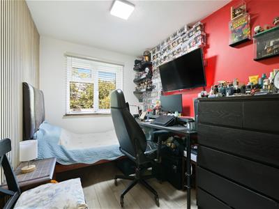Picture 11